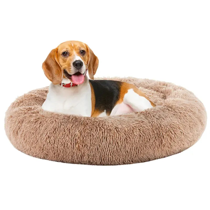 Sweetcrispy Washable Donut Pet Bed for Cats & Small Dogs